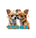 チワワ好きさんと犬好きさんに動く（個別スタンプ：15）