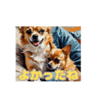 チワワ好きさんと犬好きさんに動く（個別スタンプ：16）