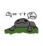 ひとくさいねこ（春）（個別スタンプ：22）