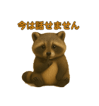 たぬたぬ言葉入り（個別スタンプ：3）