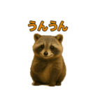 たぬたぬ言葉入り（個別スタンプ：5）
