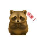 たぬたぬ言葉入り（個別スタンプ：30）