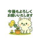 しろいぬ 丁寧な言葉（個別スタンプ：24）