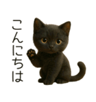 可愛い黒猫の日常スタンプ！3Dリアル（個別スタンプ：6）