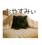 可愛い黒猫の日常スタンプ！3Dリアル（個別スタンプ：8）