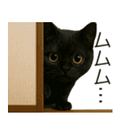 可愛い黒猫の日常スタンプ！3Dリアル（個別スタンプ：9）