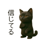 可愛い黒猫の日常スタンプ！3Dリアル（個別スタンプ：11）