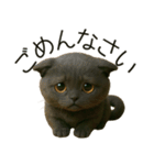 可愛い黒猫の日常スタンプ！3Dリアル（個別スタンプ：16）