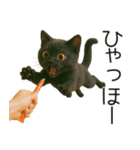 可愛い黒猫の日常スタンプ！3Dリアル（個別スタンプ：22）
