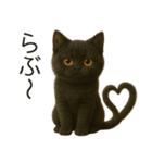 可愛い黒猫の日常スタンプ！3Dリアル（個別スタンプ：25）