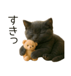 可愛い黒猫の日常スタンプ！3Dリアル（個別スタンプ：27）