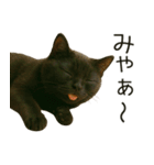 可愛い黒猫の日常スタンプ！3Dリアル（個別スタンプ：28）