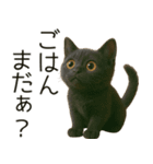 可愛い黒猫の日常スタンプ！3Dリアル（個別スタンプ：30）