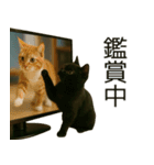 可愛い黒猫の日常スタンプ！3Dリアル（個別スタンプ：35）