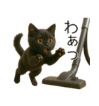 可愛い黒猫の日常スタンプ！3Dリアル（個別スタンプ：36）