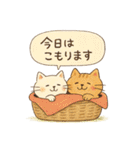ゆるねこのほんわか毎日スタンプ②（個別スタンプ：1）