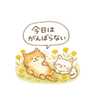 ゆるねこのほんわか毎日スタンプ②（個別スタンプ：3）
