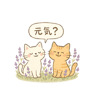 ゆるねこのほんわか毎日スタンプ②（個別スタンプ：6）
