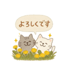 ゆるねこのほんわか毎日スタンプ②（個別スタンプ：11）