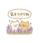 ゆるねこのほんわか毎日スタンプ②（個別スタンプ：16）