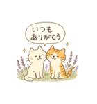 ゆるねこのほんわか毎日スタンプ②（個別スタンプ：18）
