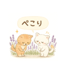 ゆるねこのほんわか毎日スタンプ②（個別スタンプ：19）