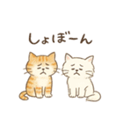 ゆるねこのほんわか毎日スタンプ②（個別スタンプ：25）