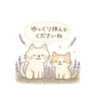 ゆるねこのほんわか毎日スタンプ②（個別スタンプ：30）
