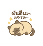 シャム猫のゆるかわタイ語スタンプ（個別スタンプ：11）