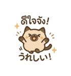シャム猫のゆるかわタイ語スタンプ（個別スタンプ：12）