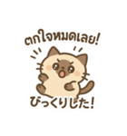 シャム猫のゆるかわタイ語スタンプ（個別スタンプ：13）