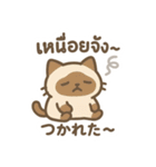 シャム猫のゆるかわタイ語スタンプ（個別スタンプ：14）
