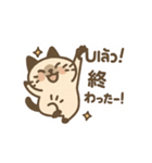 シャム猫のゆるかわタイ語スタンプ（個別スタンプ：20）