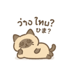 シャム猫のゆるかわタイ語スタンプ（個別スタンプ：21）
