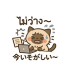 シャム猫のゆるかわタイ語スタンプ（個別スタンプ：24）