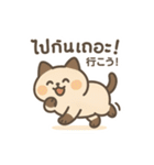 シャム猫のゆるかわタイ語スタンプ（個別スタンプ：25）