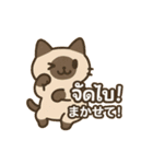 シャム猫のゆるかわタイ語スタンプ（個別スタンプ：27）