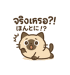 シャム猫のゆるかわタイ語スタンプ（個別スタンプ：31）