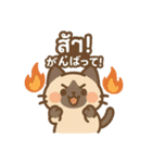 シャム猫のゆるかわタイ語スタンプ（個別スタンプ：34）