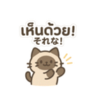 シャム猫のゆるかわタイ語スタンプ（個別スタンプ：35）