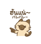 シャム猫のゆるかわタイ語スタンプ（個別スタンプ：38）