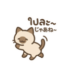 シャム猫のゆるかわタイ語スタンプ（個別スタンプ：40）