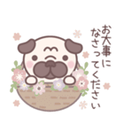 ★敬語★パグぼん（個別スタンプ：30）