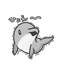 イルルカスタンプ 椿（個別スタンプ：21）