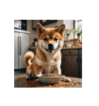柴犬の日常1（個別スタンプ：1）