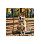 柴犬の日常1（個別スタンプ：2）