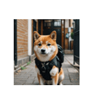 柴犬の日常1（個別スタンプ：3）