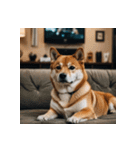 柴犬の日常1（個別スタンプ：9）