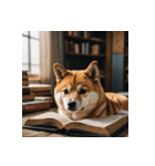 柴犬の日常1（個別スタンプ：13）