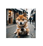 柴犬の日常1（個別スタンプ：15）
